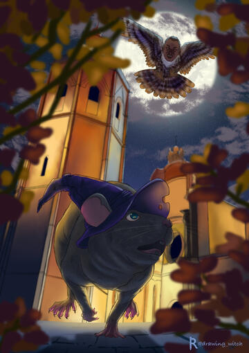 Proyecto personal.2022